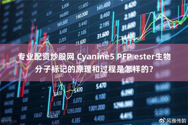 专业配资炒股网 Cyanine5 PFP ester生物分子标记的原理和过程是怎样的？